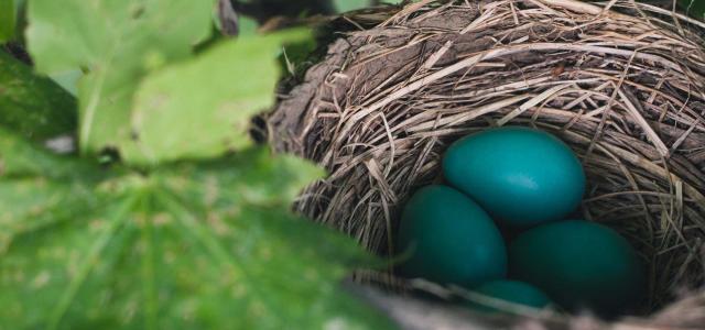 Balance your personal needs and desires using a distinctive financial approach